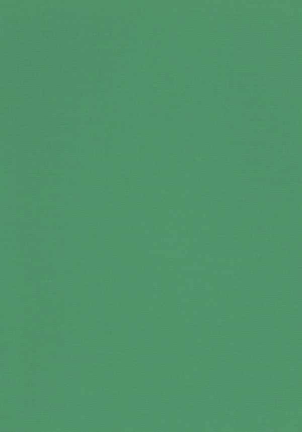 Hintergrund - Leinen grün