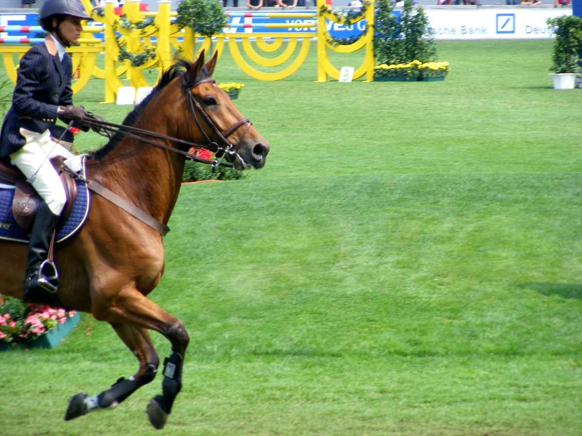 CHIO Aachen 2009 (2)