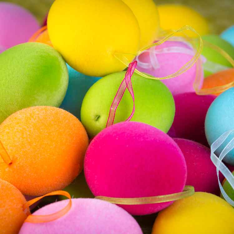 viele viele bunte ...