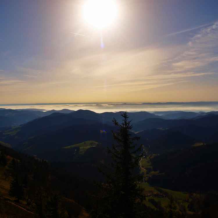 Blick vom Belchen
