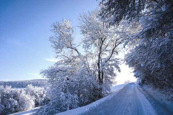 Wintermorgen
