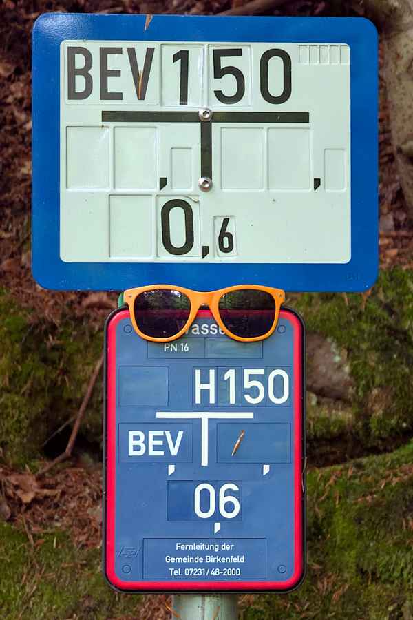 Verloren, gefunden, abholbereit