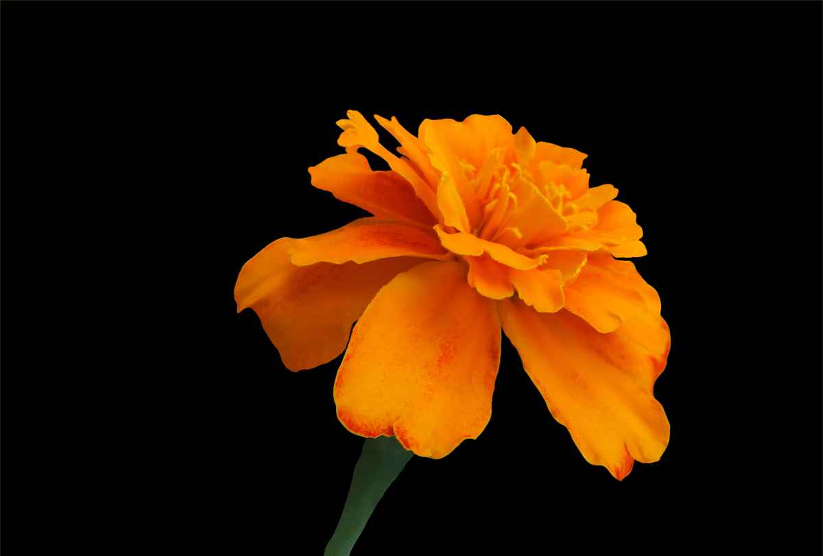 Sonnenersatz bei Regentagen