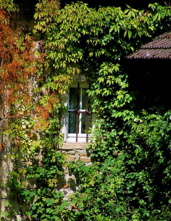 Das vergitterte Fenster im Grün