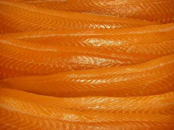 lachsfilet