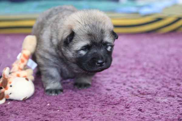 Zu müde zum Spielen?