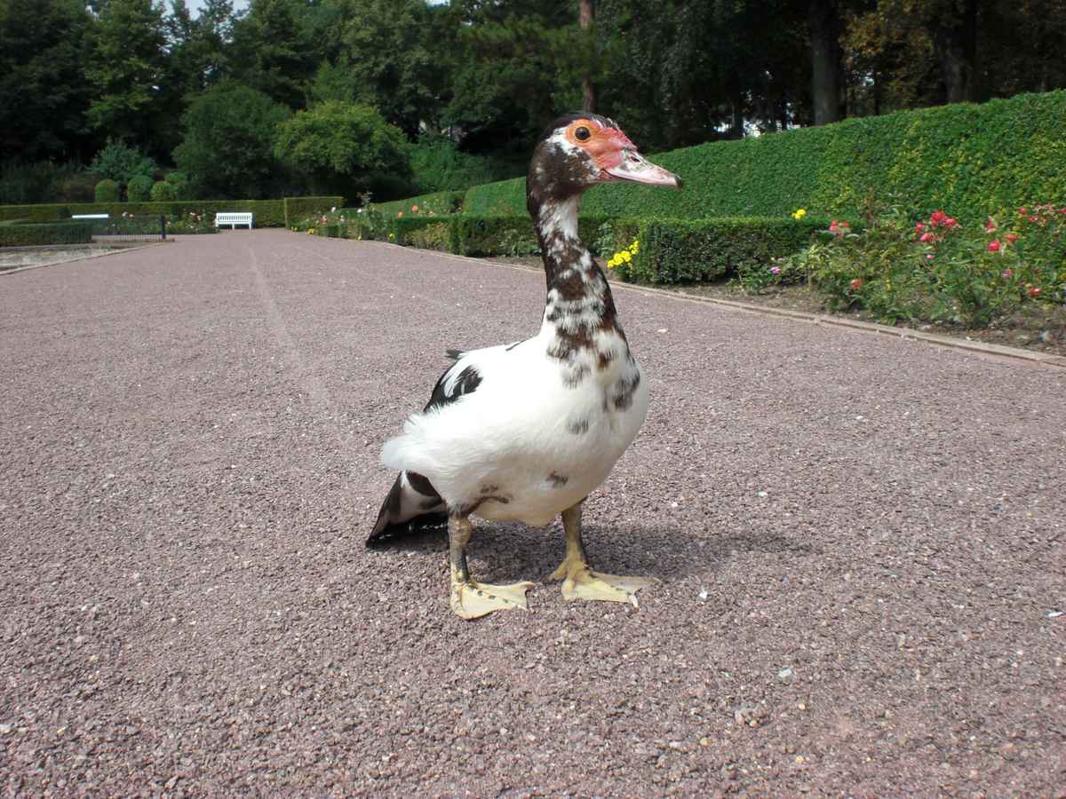 Nehmt mich mit!