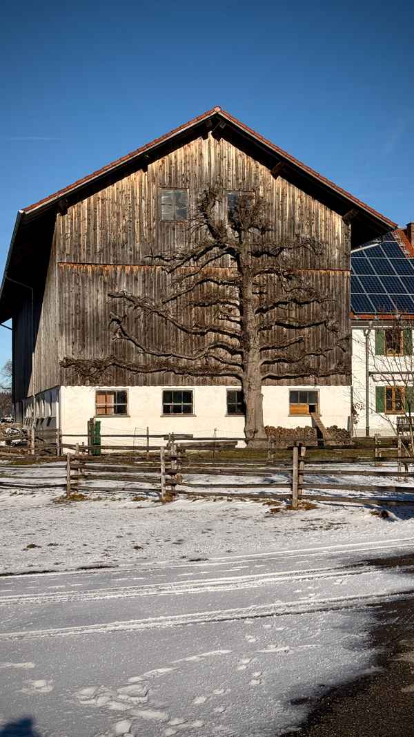 Bayerisches Bauernhaus in Windsteig