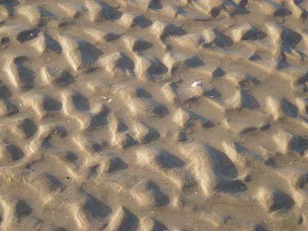 vom Wasser geformt