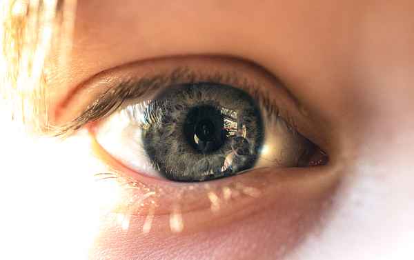Makro-Auge
