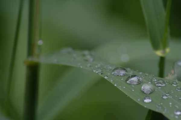 Wassertropfen