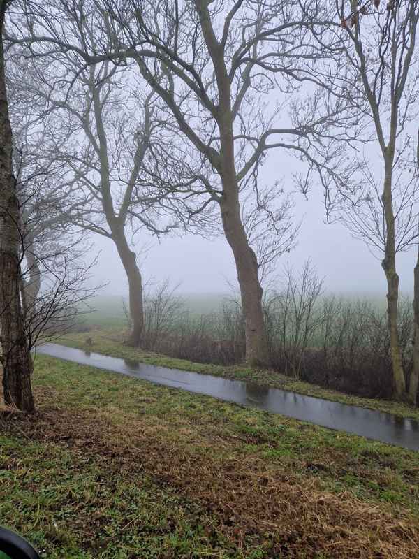 Dichter Nebel
