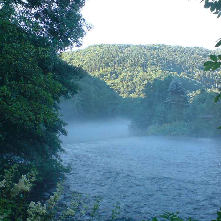Eifel