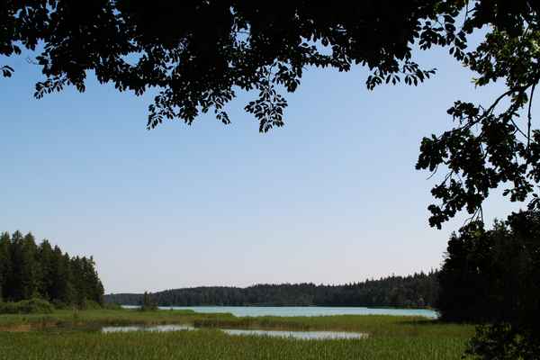 Sommer an den Osterseen 02