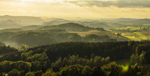 Landschaft im Elbsandsteingebirge