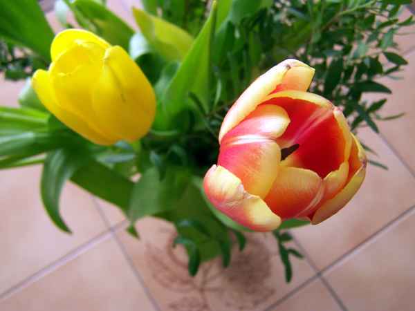 Schenk mal wieder Blumen!