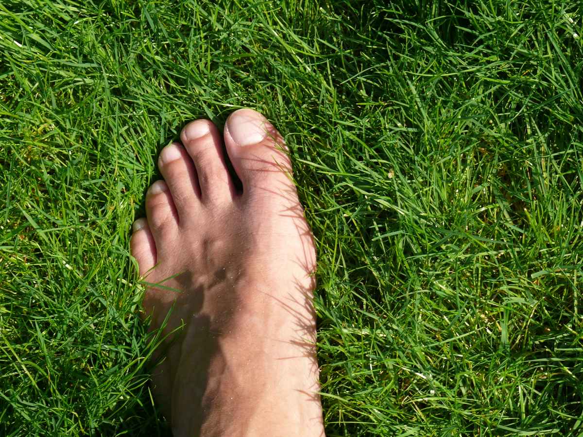 Fuß im Gras