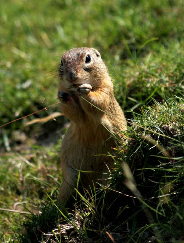 schmeckts?