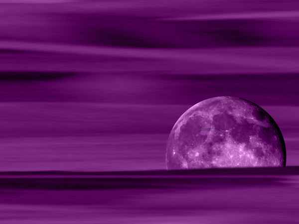 Wallpaper Purple