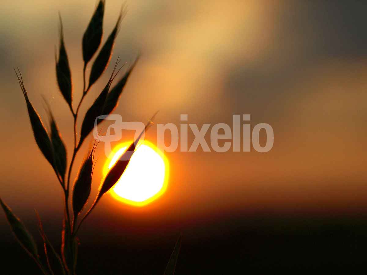 Die Sonne verabschiedet sich_2