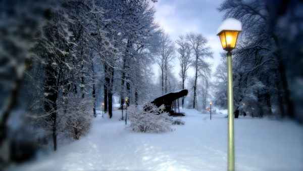 Winter im Park