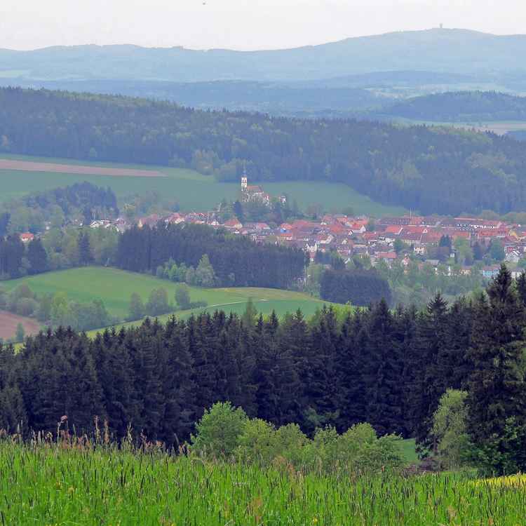 Blick nach Pleystein