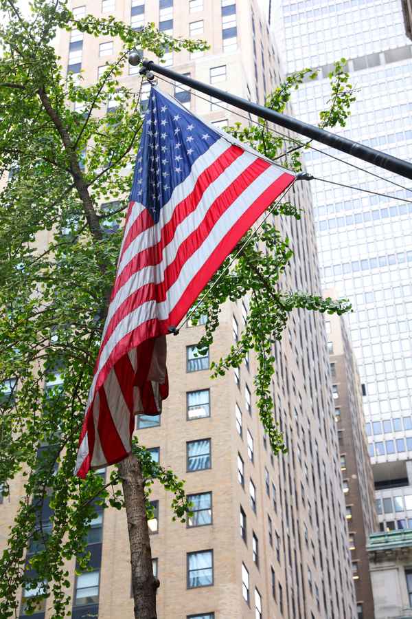 Flagge der Vereinigten Staaten von Amerika