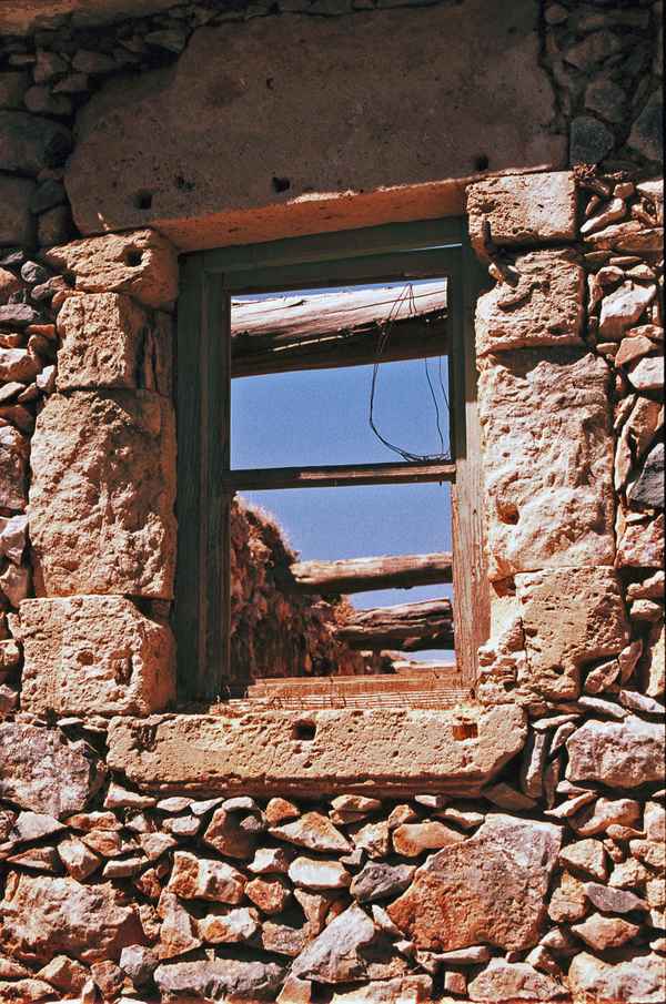 Aussicht  gen Himmel