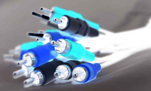Chinchstecker