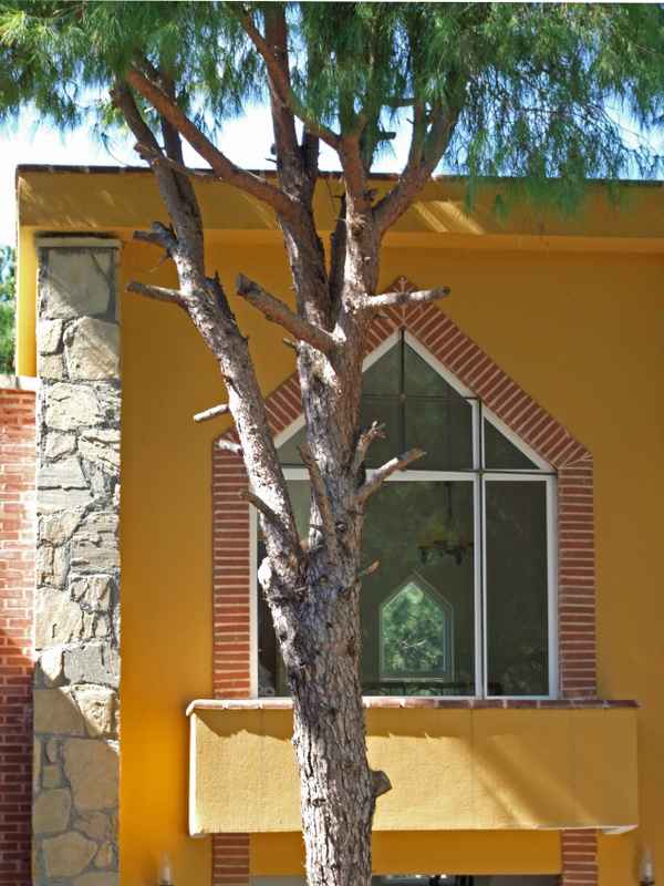 naturbetont bauen