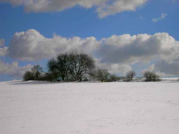  Winter im Odenwald