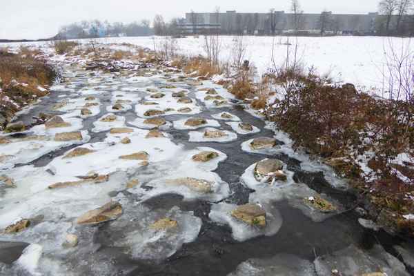 Eiszeit als Kunstschaffende