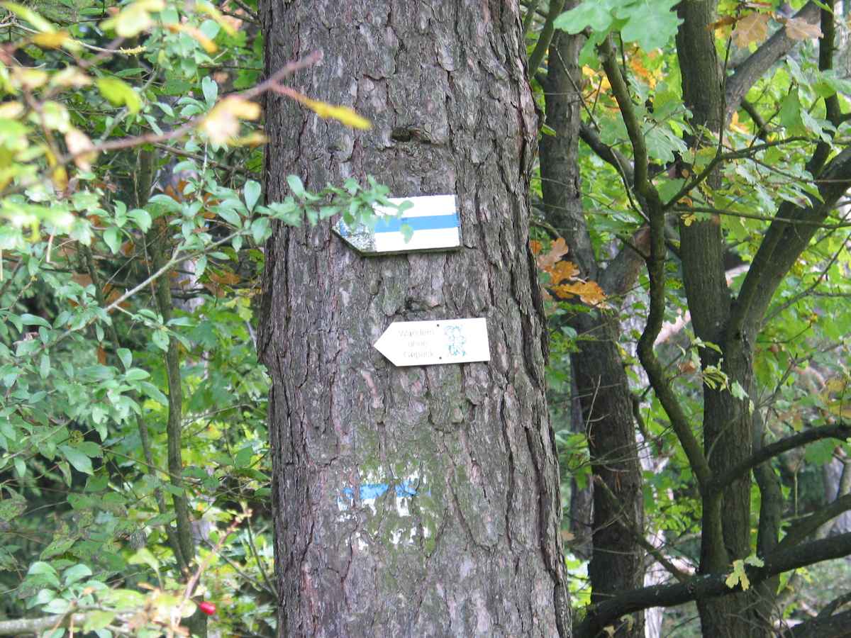 Wegweiser am Baum