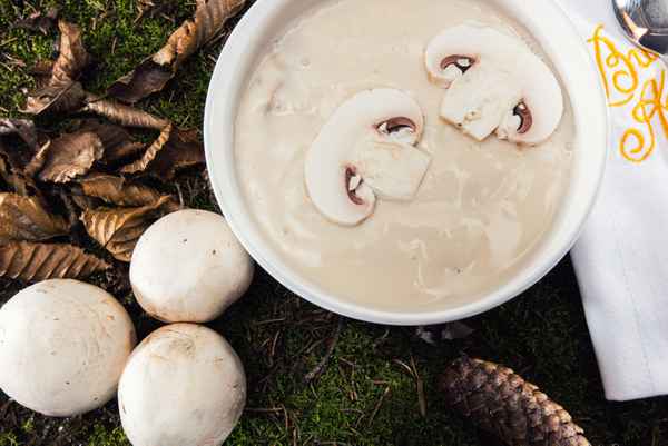 leckere Pilssuppe