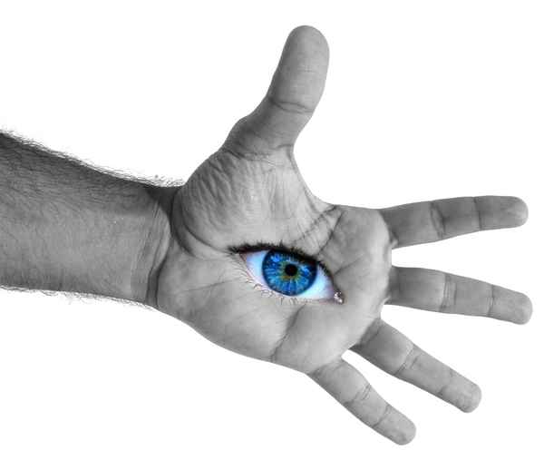 Die Hand greift nach dem, was das Auge gesehen hat