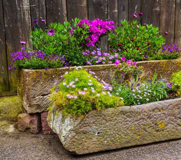 Antike Blumenkübel in alten Bauerntrögen 04
