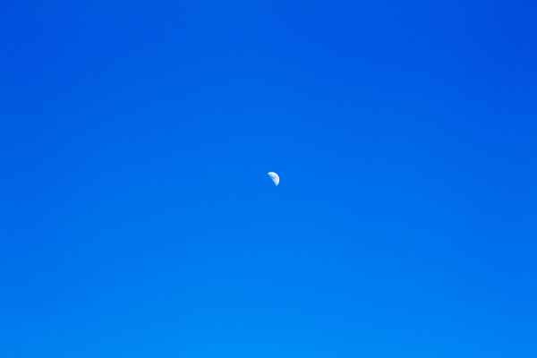 Halbmond am Nachmittag
