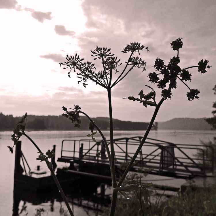 Abendstimmung am See