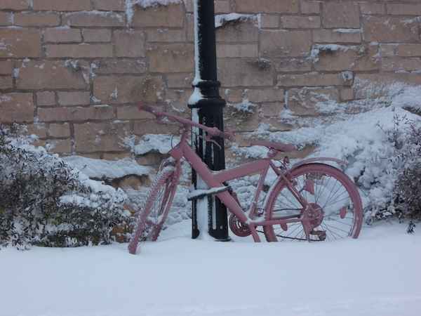 altrosa Fahrrad