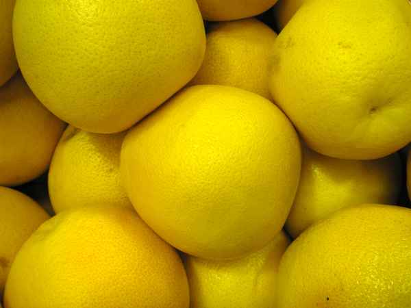  Grapefruit & Pampelmuse
