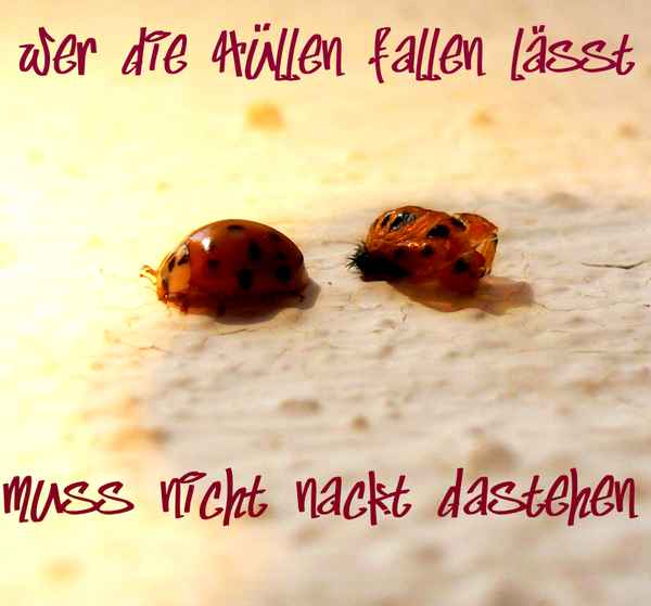 Aus seiner Haut schlüpfen