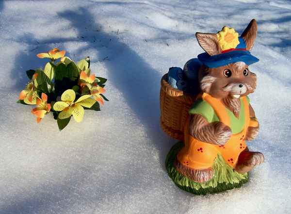 Osterhase im Schnee... (2)