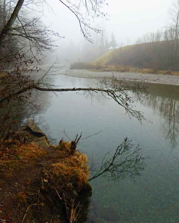 Mystische Stimmung an der Thur