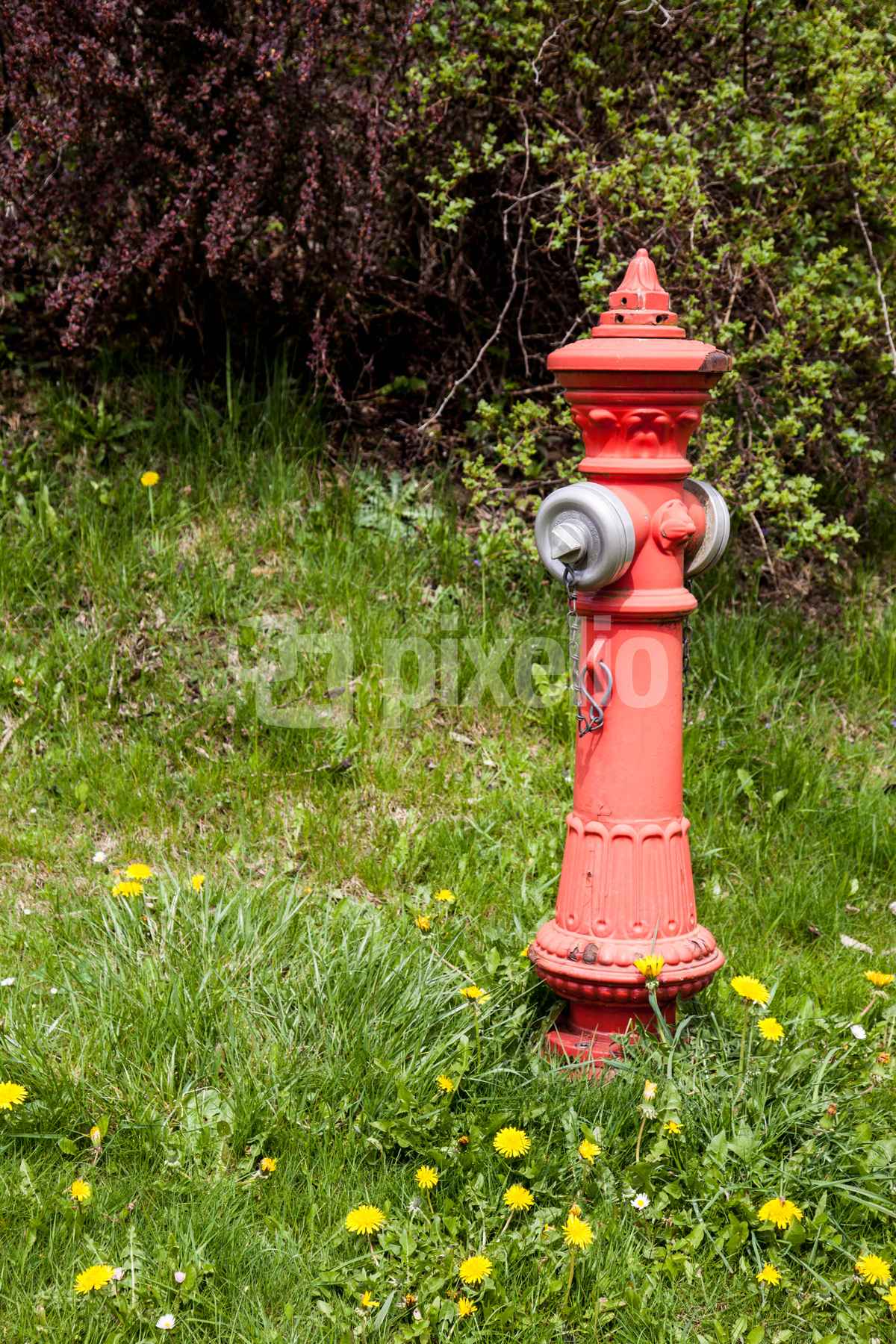 Hydrant