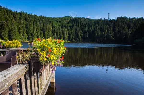 Sommerlicher Mummelsee