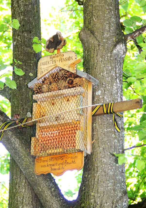 Insektenpension