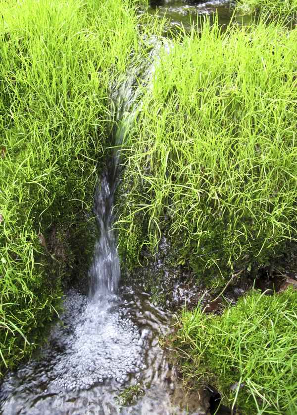 Ein Bächlein helle ...