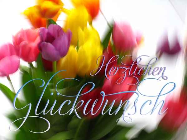 Glückwunschtulpen mit Text