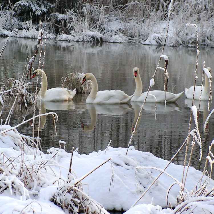 Winterausflug