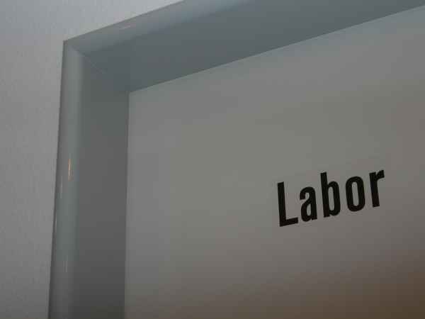 Labor